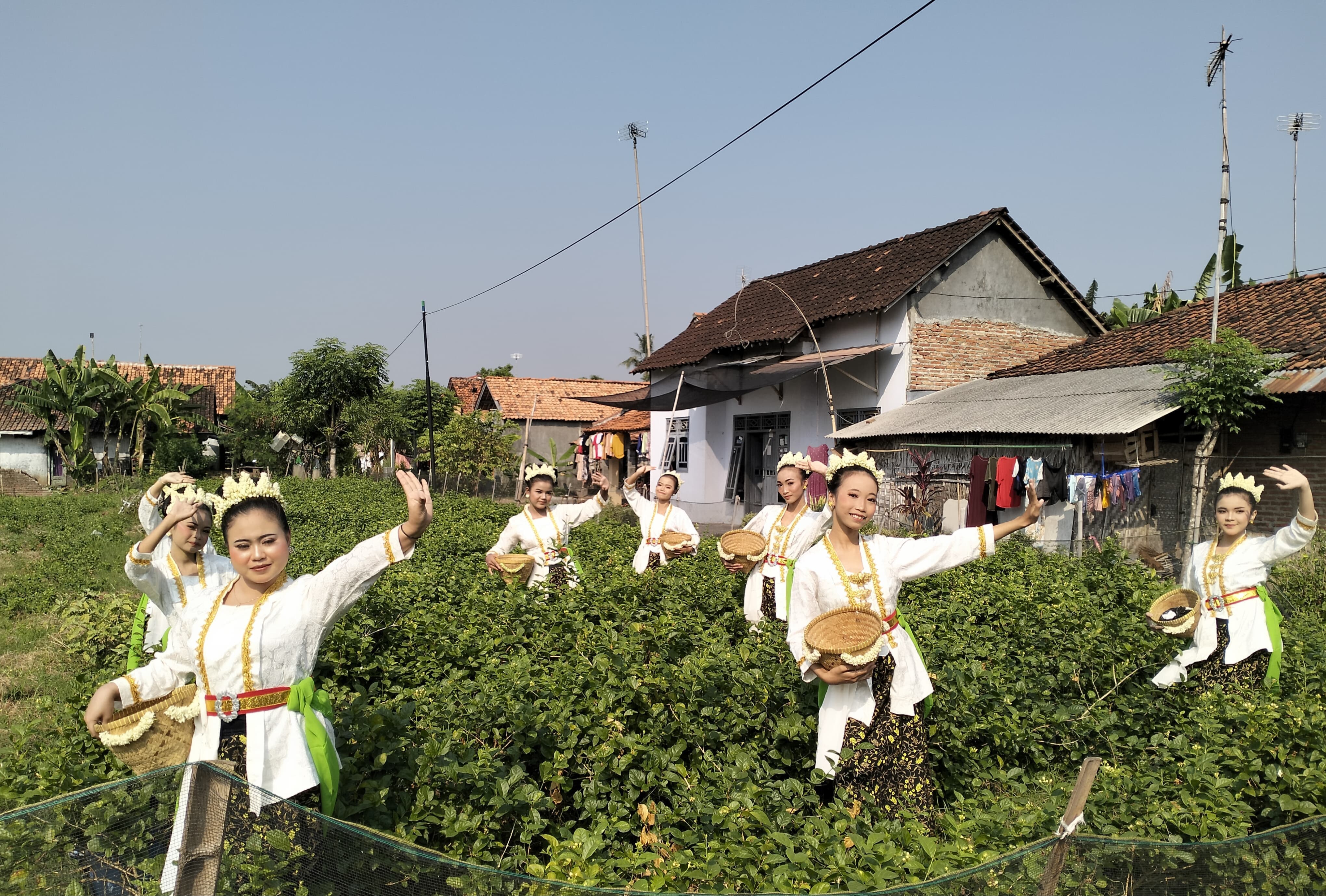 Sedekah Bumi 1